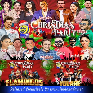 Cover Art – 47.TIK TOK HIT SONGS NONSTOP - AHUNGALLA FLEMINGOES.mp3