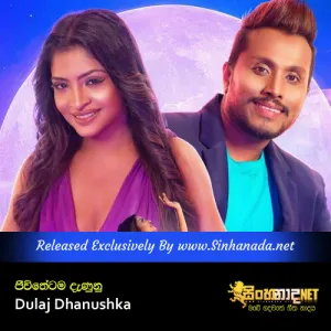 Cover Art – Jeewithetama Danunu - Dulaj Dhanushka.mp3