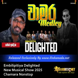 Cover Art – Embilipitiya Delighted New Musical Show 2025 Chamara Nonstop.mp3