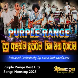 Cover Art – Purple Range Best Hits Songs Nonstop 2025.mp3