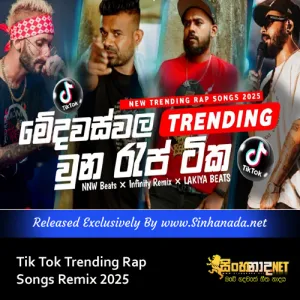 Cover Art – Tik Tok Trending Rap Songs Remix 2025.mp3