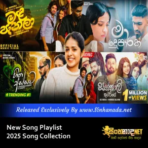 Cover Art – New Song Playlist 2025 Song Collection.mp3