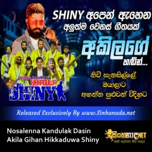 Cover Art – Nosalenna Kandulak Dasin - Akila Gihan Hikkaduwa Shiny.mp3