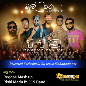 Cover Art – Malsara Reggae Mash up - Rishi Madu ft. 119 Band.mp3