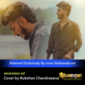 Cover Art – Nopenena Se Cover by Rukshan Chandrasena.mp3