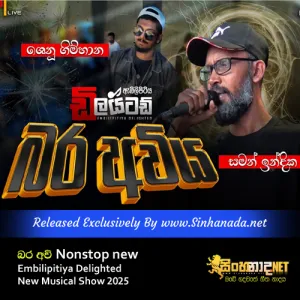 Cover Art – Embilipitiya Delighted New Musical Show 2025 Bara Awi Nonstop new.mp3