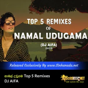Cover Art – Top 5 Remixes of Namal Udugama - DJ AIFA.mp3
