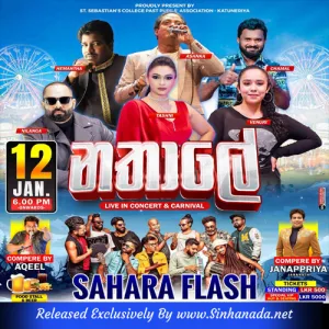 Cover Art – 04.MS SONGS NONSTOP - SAHARA FLASH.mp3