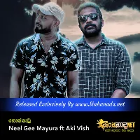 Cover Art – Nokkadu - Neel Gee Mayura ft Aki Vish.mp3