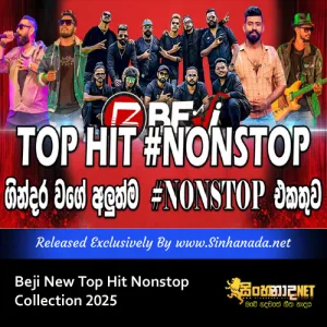 Cover Art – Beji Top Hit Nonstop Collection 2025.mp3