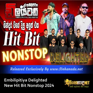 Cover Art – Embilipitiya Delighted Hit Bit Nonstop 2024.mp3