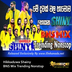 Hikkaduwa Shainy BNS Mix Trending Nonstop.mp3