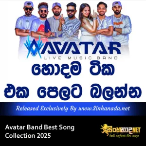 Cover Art – Avatar Band Best Song Collection 2025.mp3