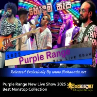 Cover Art – Purple Range New Live Show 2025 Best Nonstop Collection.mp3