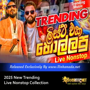 Cover Art – 2025 New Trending Live Nonstop Collection.mp3