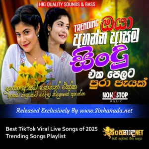 Cover Art – Best TikTok Viral Live Songs of 2025 Trending Songs Playlist.mp3