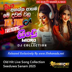 Cover Art – 2025 Best Trending Songs Best TikTok Hit Dj Playlist.mp3