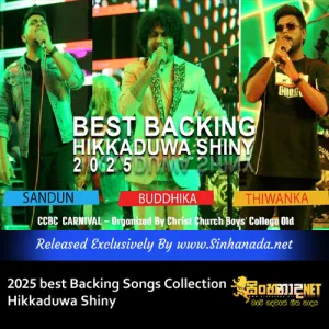 Cover Art – 2025 best Backing Songs Collection Hikkaduwa Shiny.mp3