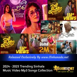 Cover Art – 2024 - 2025 Trending Sinhala Music Video Mp3 Songs Collection.mp3