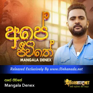 Cover Art – Ape Jeewithe - Mangala Denex.mp3