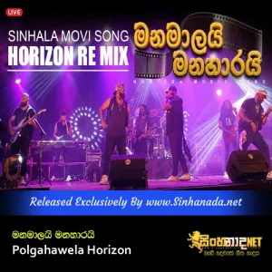 Cover Art – Polgahawela Horizon Live Show 2025 Manamalai Manaharai Sinhala Old Movei Song.mp3