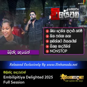 Cover Art – Embilipitiya Delighted 2025 New Show Milinda Sandaruwan Full Session.mp3