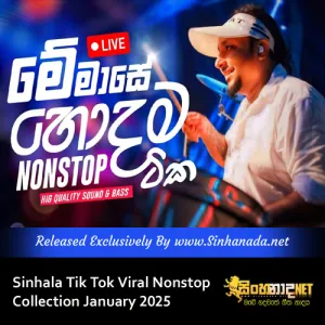 Cover Art – Sinhala Tik Tok Viral Nonstop Collection January 2025.mp3