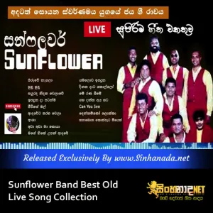 Cover Art – Sunflower Band Best Old Live Song Collection.mp3