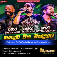 Cover Art – Shalinda Fernando Thushara Subasinghe Kelum Hettiarachchi Best Live Songs Collection 2025.mp3