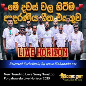 Cover Art – New Trending Love Song Nonstop - Polgahawela Live Horizon 2025.mp3