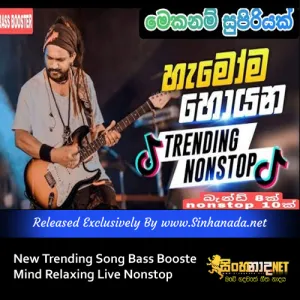 Cover Art – New Trending Song Bass Booster Mind Relaxing Live Nonstop Collection.mp3