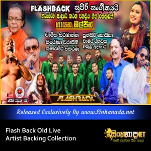Cover Art – Flash Back Old Best Backing Collection Live Artist Songs.mp3