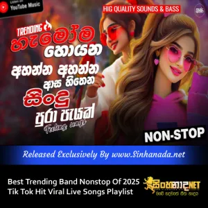 Cover Art – Best Trending Band Nonstop Of 2025 Tik Tok Hit Viral Live Songs Playlist.mp3