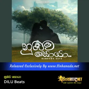 Cover Art – Numbawa Soya - DILU Beats.mp3