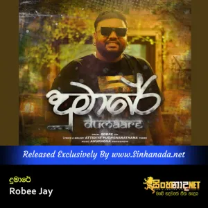 Cover Art – Me ahasata polawen Gal katas patas gala Dumare new trending song - Robee Jay.mp3