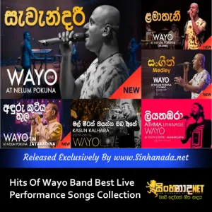 Cover Art – Hits Of Wayo Band Best Live Performance Songs Collection.mp3