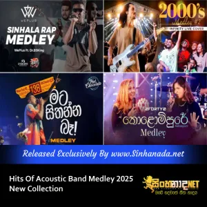 Cover Art – Hits Of Acoustic Band Medley 2025 New Songs Collection.mp3