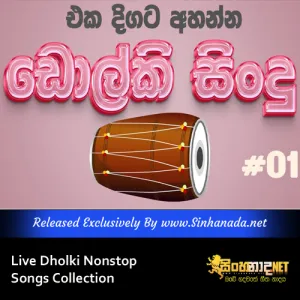 Cover Art – Live Dholki Nonstop Songs Collection.mp3