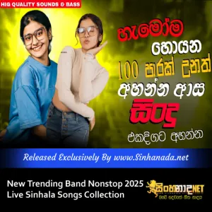 Cover Art – New Trending Band Nonstop 2025 Live Sinhala Songs Collection.mp3