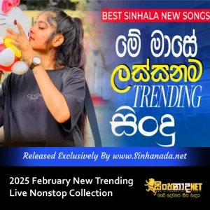 Cover Art – 2025 February New Trending Live Nonstop Collection.mp3
