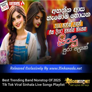 Cover Art – Best Trending Tik Tok Viral Live Nonstop Playlist Of 2025.mp3