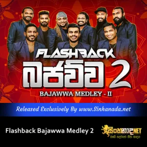 Cover Art – Flashback Bajawwa Medley 2.mp3