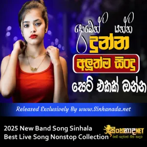 Cover Art – 2025 New Band Song Sinhala Best Live Song Nonstop Collection.mp3