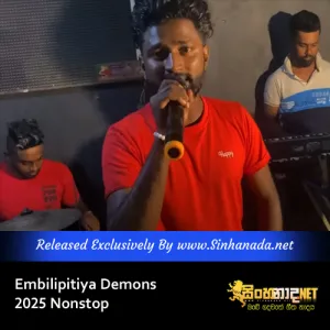 Cover Art – Embilipitiya Demons 2025 Nonstop.mp3