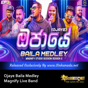 Cover Art – Ojaye Baila Medley - Magnify Live Band.mp3