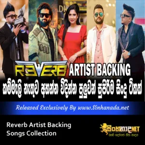 Cover Art – Reverb Artist Backing Songs Collection.mp3