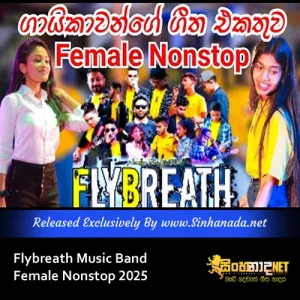Cover Art – Flybreath Music Band Female Nonstop 2025.mp3