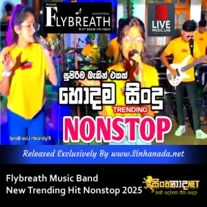 Cover Art – Flybreath Music Band New Trending Hit Nonstop 2025.mp3