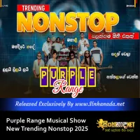 Cover Art – Purple Range Musical Show New Trending Nonstop 2025.mp3