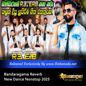 Cover Art – Bandaragama Reverb New Dance Nonstop 2025.mp3